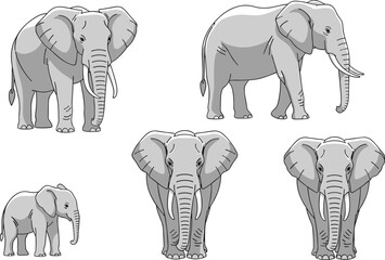 Flat vector illustration set of gray elephant characters including adult and baby elephants in various poses like walking and standing for safari wildlife concept. © Aminul