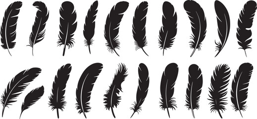 Silhouette bird feathers design. fluffy swan. Big set of bird feathers design. Black quill feather silhouette. Plumelet collection isolated on white background, vector © shahzad