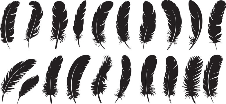 Silhouette bird feathers design. fluffy swan. Big set of bird feathers design. Black quill feather silhouette. Plumelet collection isolated on white background, vector