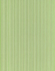 Obraz premium A green and white vertically striped pattern