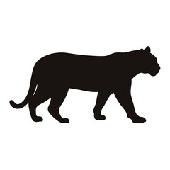 Obraz premium Silhouette of a large cat walking gracefully in a black vector illustration