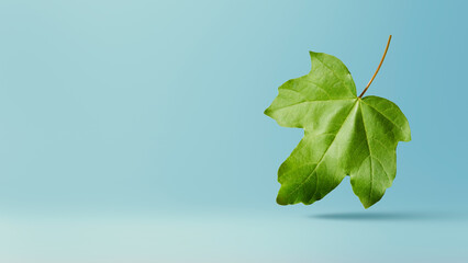 Creative art collage of flying green maple leaves isolated on blue  background. Concept of spring...