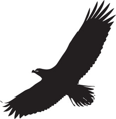 Fototapeta premium A large black bird of prey in flight isolated on transparent background, Vector