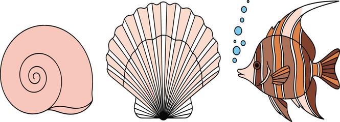 Elegant vector illustration of a spiral snail shell, a fan-shaped scallop seashell, and a striped tropical angelfish with bubbles for marine life and coastal branding. © mstLilima