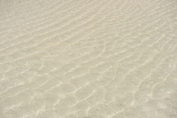 Obraz premium Clear water and sandy bottom with sun ripples, tropical sea background.