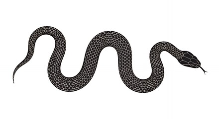 Fototapeta premium Vector illustration of a black snake featuring a unique white honeycomb scale pattern. This high-quality graphic is designed for edgy branding, modern tattoo stencils, and wildlife education
