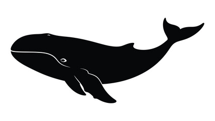 A large black whale swimming in the ocean isolated on white background, Vector