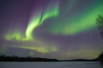 Stunning Aurora Borealis dancing over frozen Lake Inari and snowy forest in Ivalo, Finnish Lapland