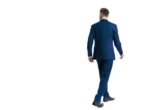 Back view of professional businessman walking away