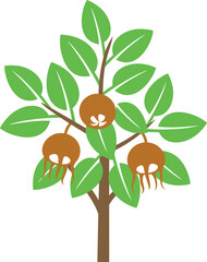 Medlar tree logo. Isolated medlar tree on white background