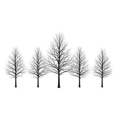 Fototapeta premium Silhouette bare winter trees snow fog minimalist landscape black white nature art