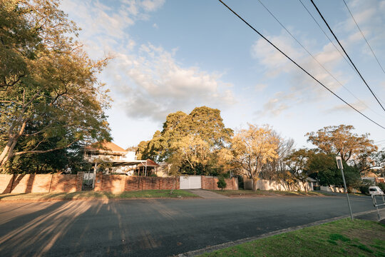 Houses in a leafy suburban street streaked with long afternoon shadows