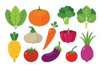 Fototapeta premium vegetable vector on white background