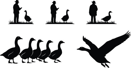 Black silhouette set of geese flying, walking in a row, and standing with a farmer isolated on white background for poultry, farming, and nature. © Shahanaj