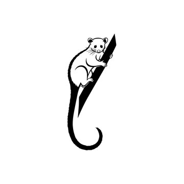 Minimalist icon representing a vector graphics file for design projects