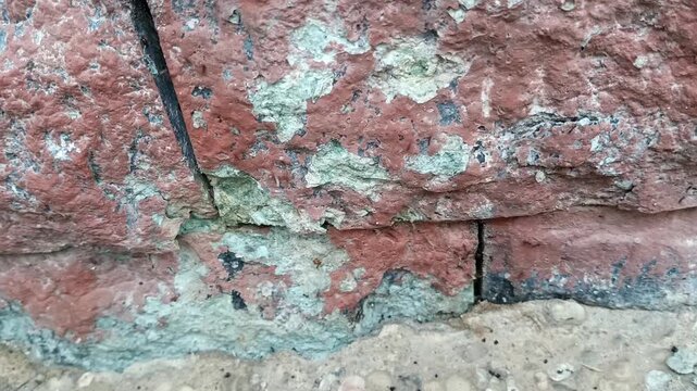 a colony of black ants migrating into the cracks in the bricks of a building to nest