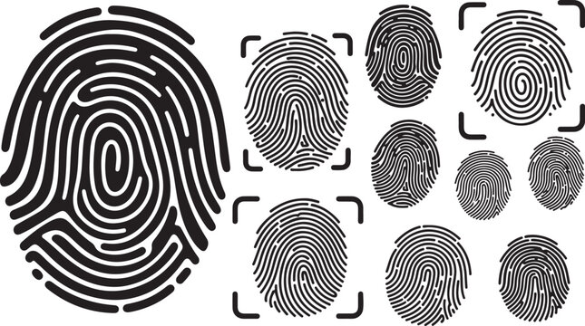Collection of various fingerprint patterns and unique identifiers