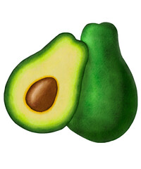 Realistic watercolor avocado illustration with rich green tones, creamy flesh, and detailed seed on textured paper, perfect for healthy food branding