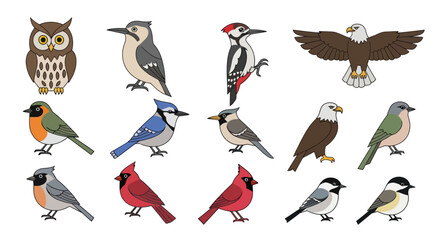 Collection of Diverse Bird Illustrations: Owl, Eagle, Woodpecker, Cardinal, Blue Jay, Chickadee © Abang