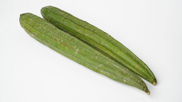 Isolated white photo of a vegetable called oyong or gambas (Luffa acutangula) which is long, has green skin and a hard texture with a white inside.
