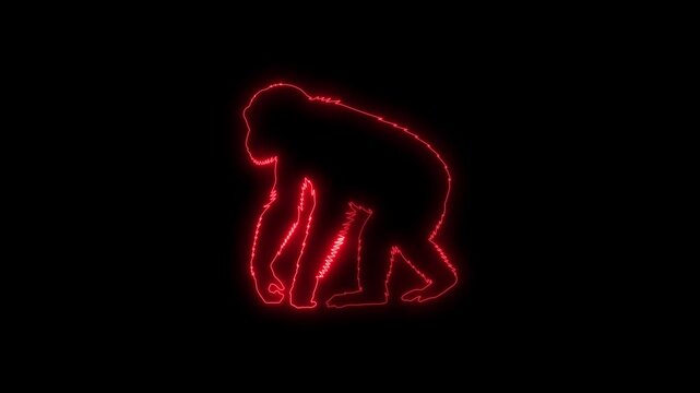 Red Neon Silhouette of a Chimpanzee Walking on a Black Background primate