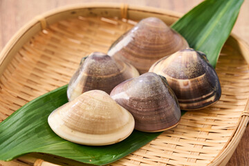 竹ざるに盛った生の蛤（はまぐり）