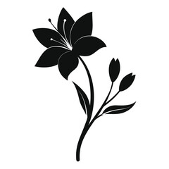 black and white flower