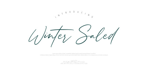 Winter Saled, Script premium luxury elegant alphabet letters and numbers. Elegant wedding typography classic serif font decorative vintage retro. Creative vector illustration  © Gizmo Design
