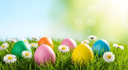 Fototapeta premium Colorful easter eggs in grass with flowers on a sunny day outdoors