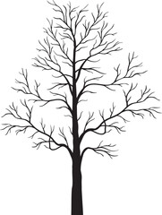 Obraz premium Bare tree without leaves, representing winter, dormancy, and resilience.