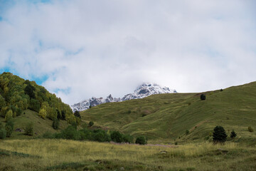 Majestic Snowy Peak of Adishi Glacier in Svaneti Georgia, Epic Caucasus Mountain Landscape with Green Meadows in Autumn