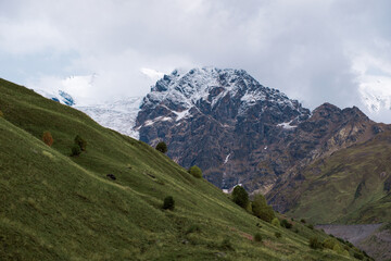 Obraz premium Majestic Snowy Peak of Adishi Glacier in Svaneti Georgia, Epic Caucasus Mountain Landscape with Green Meadows in Autumn