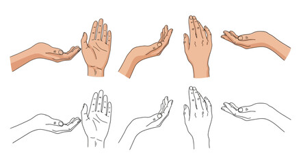 Collection of realistic and line art illustrations of human hands in various open palm gestures, presented in two rows. © akmal