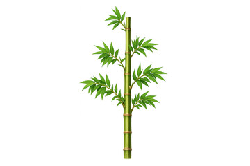 Naklejka premium Growing bamboo stalk with lush green leaves, a peaceful symbol of nature and ecological growth, transparent background