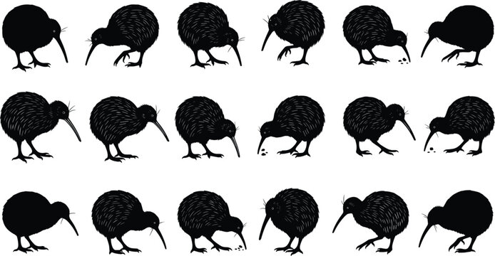Set of black kiwi bird vector silhouettes featuring various flightless bird poses including foraging, walking, and standing for wildlife designs.
