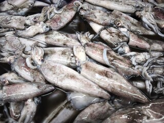 Obraz premium Fresh Squid Pile - A Seafood Delicacy Ready for Culinary Creations.