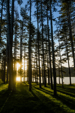 Beautiful landscape of a sunrise over the forest with a lake in the background