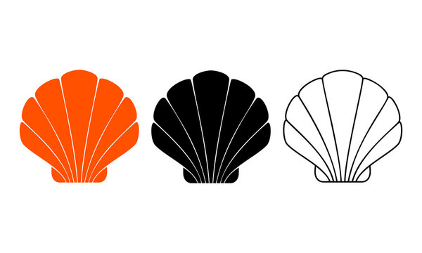 Scallop icon, Scallop logo, isolated on a white background. Flat vector illustration design