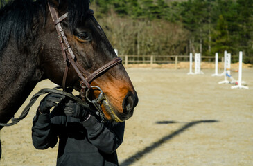 Young rider and her horse in close-up