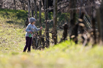 Child observing nature in vineyard during springtime