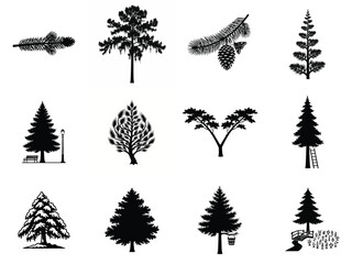 Fototapeta premium Collection of diverse tree silhouettes and nature elements including pine branches, a pinecone, moth, bench, lamppost, ladder, bucket, bridge, and plants, in black and white vector format.
