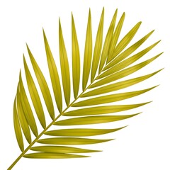 Fototapeta premium A single elegant palm leaf with delicate green veins against a plain background illustration
