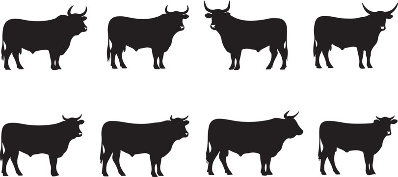 Illustrations of various cattle breeds with their names and origins isolated on white background, Vector