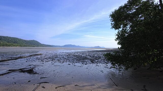 Exposed mangrove mudflat with distant hills in Thailand under morning light