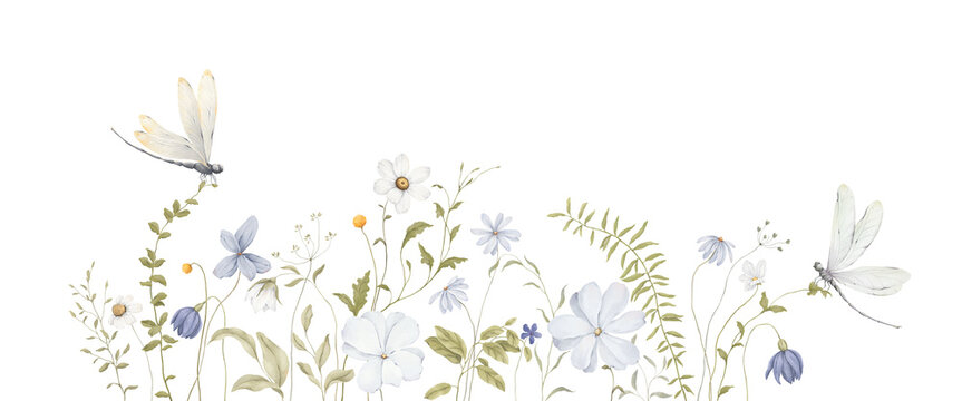 Watercolor floral border with delicate blue, white wildflowers and dragonflies. Isolated hand drawn horizontal background for invitation or greeting, poster or cover.