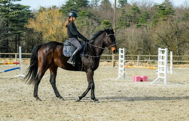 Portrait of a beautiful rider performing cross-walks with her horse