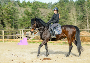 Portrait of a beautiful rider performing cross-walks with her horse