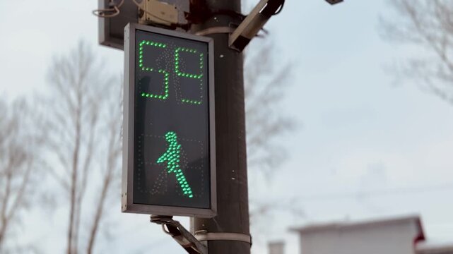 Green Pedestrian Walk Signal Showing Countdown And Animated Walking Icon On LED Display Transparent Casing, Pole Mounting And Tree Background Suggest Urban Intersection, Evening Commute.