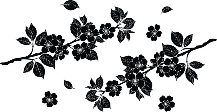 Black silhouette cherry blossom branch with blooming flowers, leaves and buds, elegant sakura tree twig design vector illustration