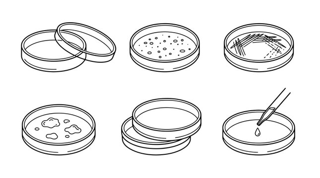 petri dish, 6 black delicate line drawings vector set collection , white background , PNG and SVG